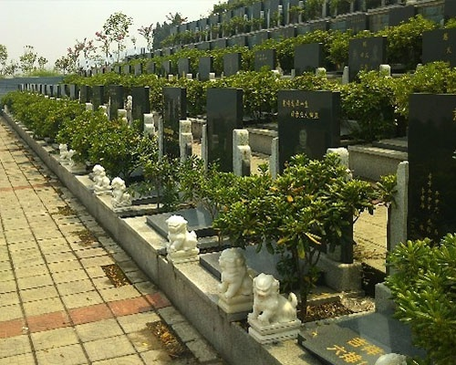 墓区实景图
